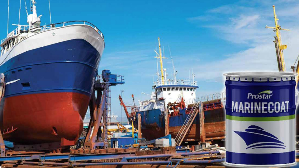 Prostar Paints 01